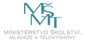 Ministerstvo školství mládeže a sportu - Program VIII